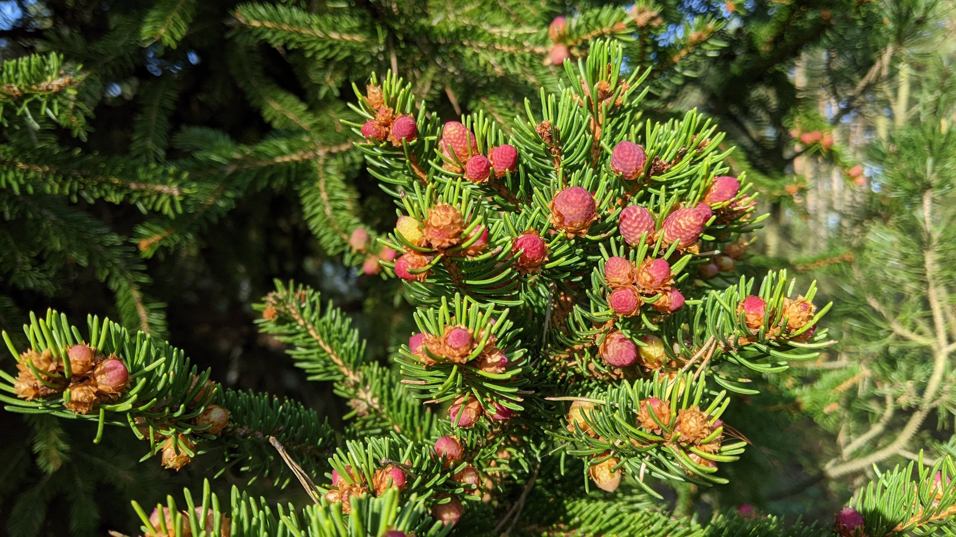 PXL_20240406_153031123