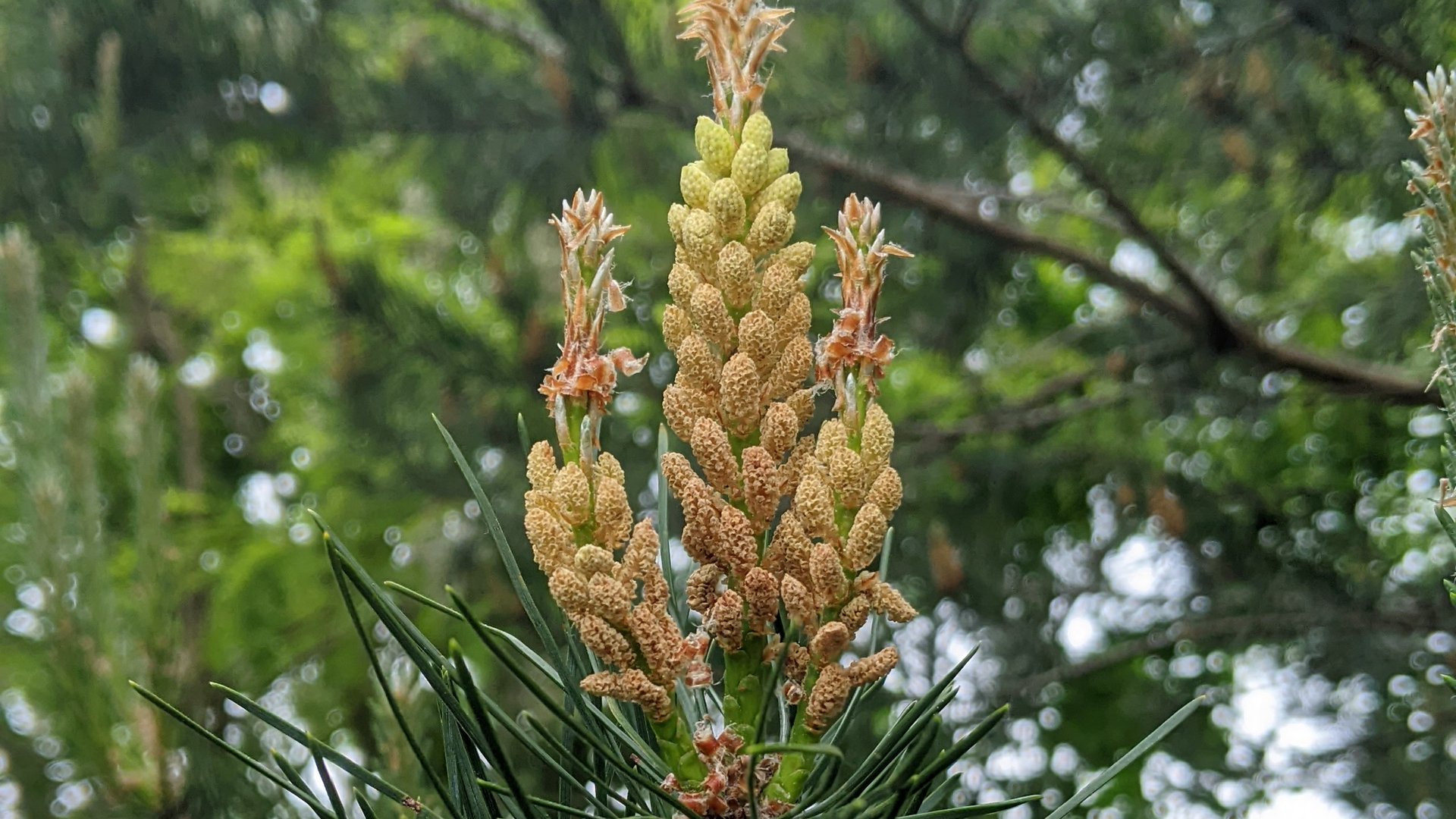PXL_20240511_092831222