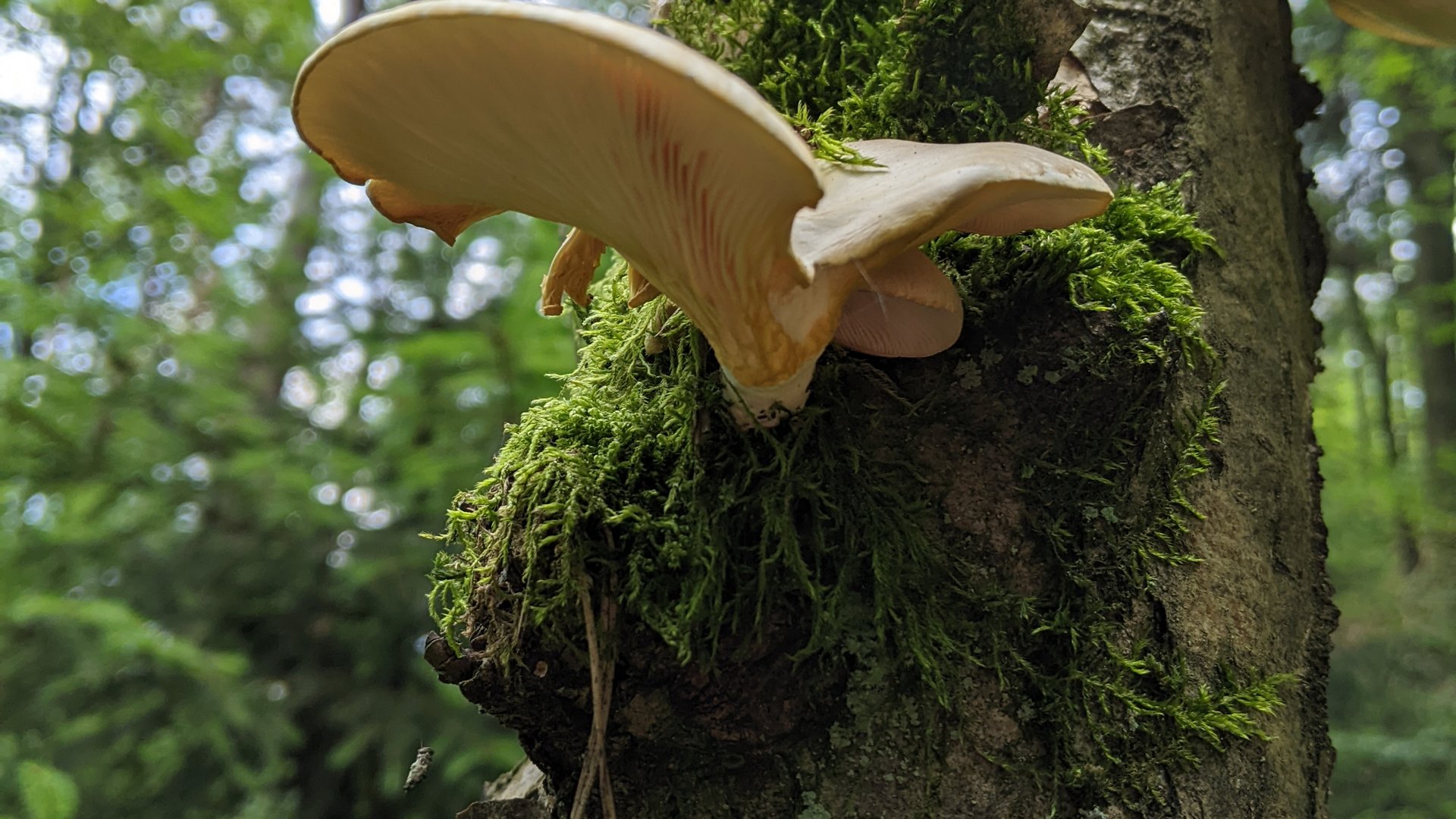 PXL_20240612_101012067