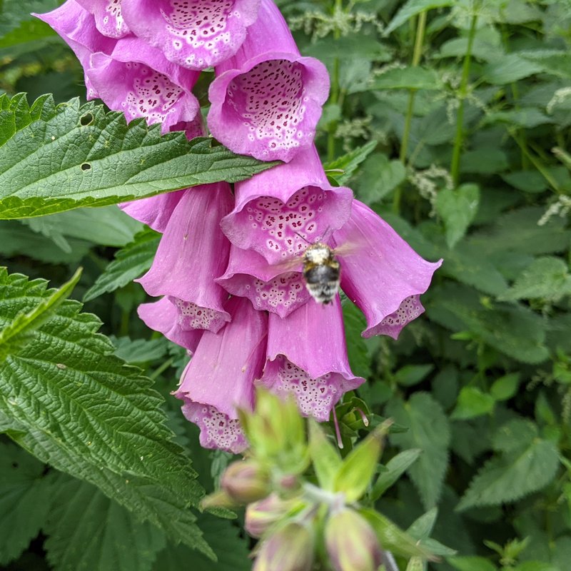 PXL_20240612_115055843